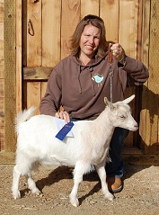 Bells Goats Sweet Sixteen